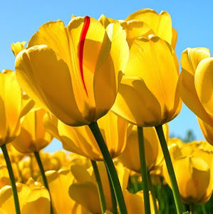 Meet your Posher, Michaela